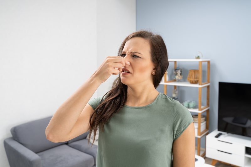 AC System Emitting Foul Smell