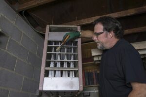 Furnace Repairs